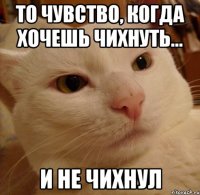 то чувство, когда хочешь чихнуть... и не чихнул
