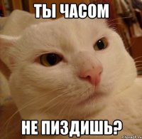 Ты часом не пиздишь?