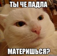 ты че падла материшься?