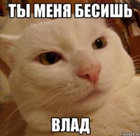 ты меня бесишь влад