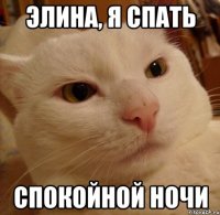 Элина, я спать Спокойной ночи
