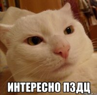  ИНТЕРЕСНО ПЗДЦ