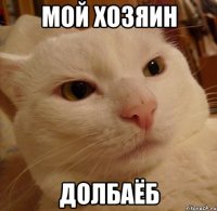 Мой хозяин долбаёб