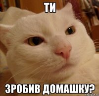 Ти зробив домашку?