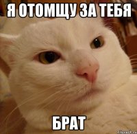 Я отомщу за тебя Брат