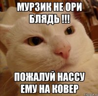 МУРЗИК НЕ ОРИ БЛЯДЬ !!! Пожалуй нассу ему на ковер