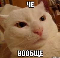 че вообще