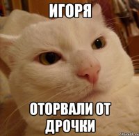 Игоря Оторвали от дрочки