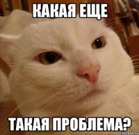 Какая еще Такая проблема?