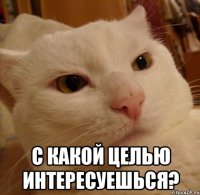  С КАКОЙ ЦЕЛЬЮ ИНТЕРЕСУЕШЬСЯ?