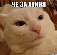 че за хуйня 