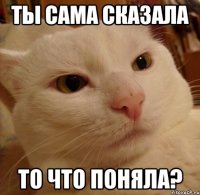 Ты сама сказала То что поняла?