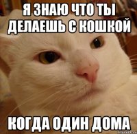 Я ЗНАЮ ЧТО ТЫ ДЕЛАЕШЬ С КОШКОЙ КОГДА ОДИН ДОМА