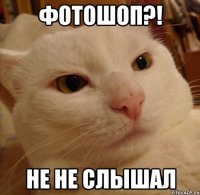 фотошоп?! не не слышал