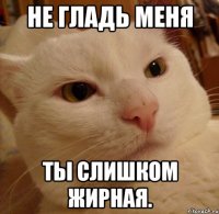 НЕ ГЛАДЬ МЕНЯ ты слишком жирная.