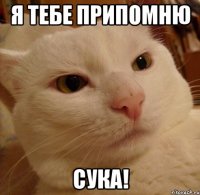 я тебе припомню сука!