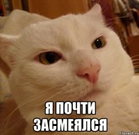  Я ПОЧТИ ЗАСМЕЯЛСЯ