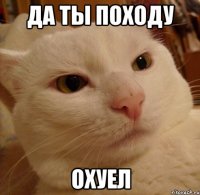 да ты походу охуел