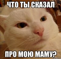Что ты сказал про мою маму?