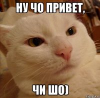 Ну чо привет, Чи шо)