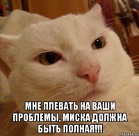  Мне плевать на ваши проблемы, миска должна быть полная!!!