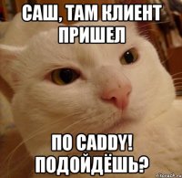 САШ, там клиент пришел по Caddy! Подойдёшь?