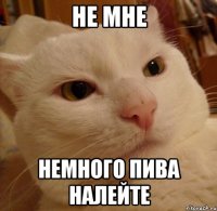 не мне немного пива налейте