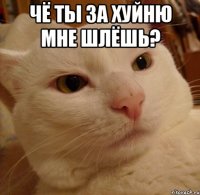 чЁ ТЫ ЗА ХУЙНЮ МНЕ ШЛЁШЬ? 