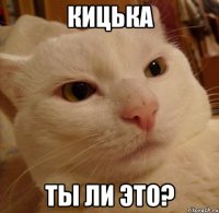кицька ты ли это?