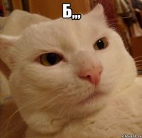 б,,, 