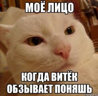 Моё лицо Когда Витёк обзывает поняшь