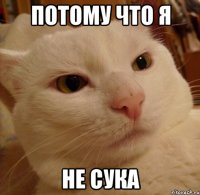 ПОТОМУ ЧТО Я НЕ СУКА