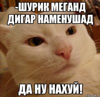 -Шурик меганд дигар наменушад ДА НУ НАХУЙ!