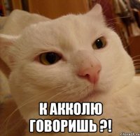  К Акколю говоришь ?!
