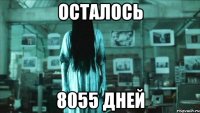 Осталось 8055 дней