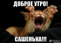Доброе утро! Сашенька!!!