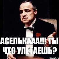 Аселькааа!!! Ты что улетаешь?