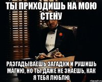 Ты приходишь на мою стену разгадываешь загадки и рушишь магию, но ты даже не знаешь, как я тебя люблю