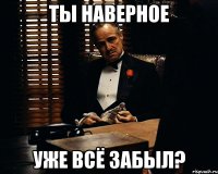 ты наверное уже всё забыл?