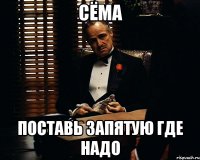 Сёма поставь запятую где надо