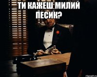 Ти кажеш милий песик? 