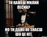 Ти кажеш милий песик? Но ти даже не знаєш шо це кіт