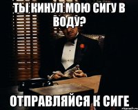 Ты кинул мою сигу в воду? Отправляйся к сиге