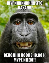 Шуриииииик!!!! Это Баха!!!! Сенодня после 19:00 к Муре идем!!