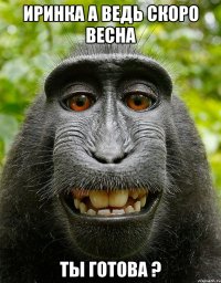 иринка а ведь скоро весна ты готова ?