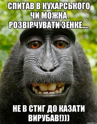 спитав в кухарського чи можна розвірчувати зенке.... не в стиг до казати вирубав!)))