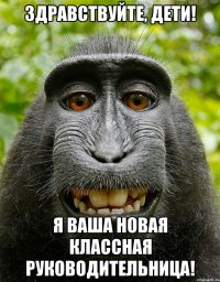 Здравствуйте, дети! Я ваша новая классная руководительница!