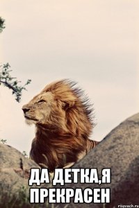  Да детка,я прекрасен