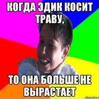 КОГДА ЭДИК КОСИТ ТРАВУ, ТО ОНА БОЛЬШЕ НЕ ВЫРАСТАЕТ