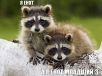 я енот а я енот младший:З